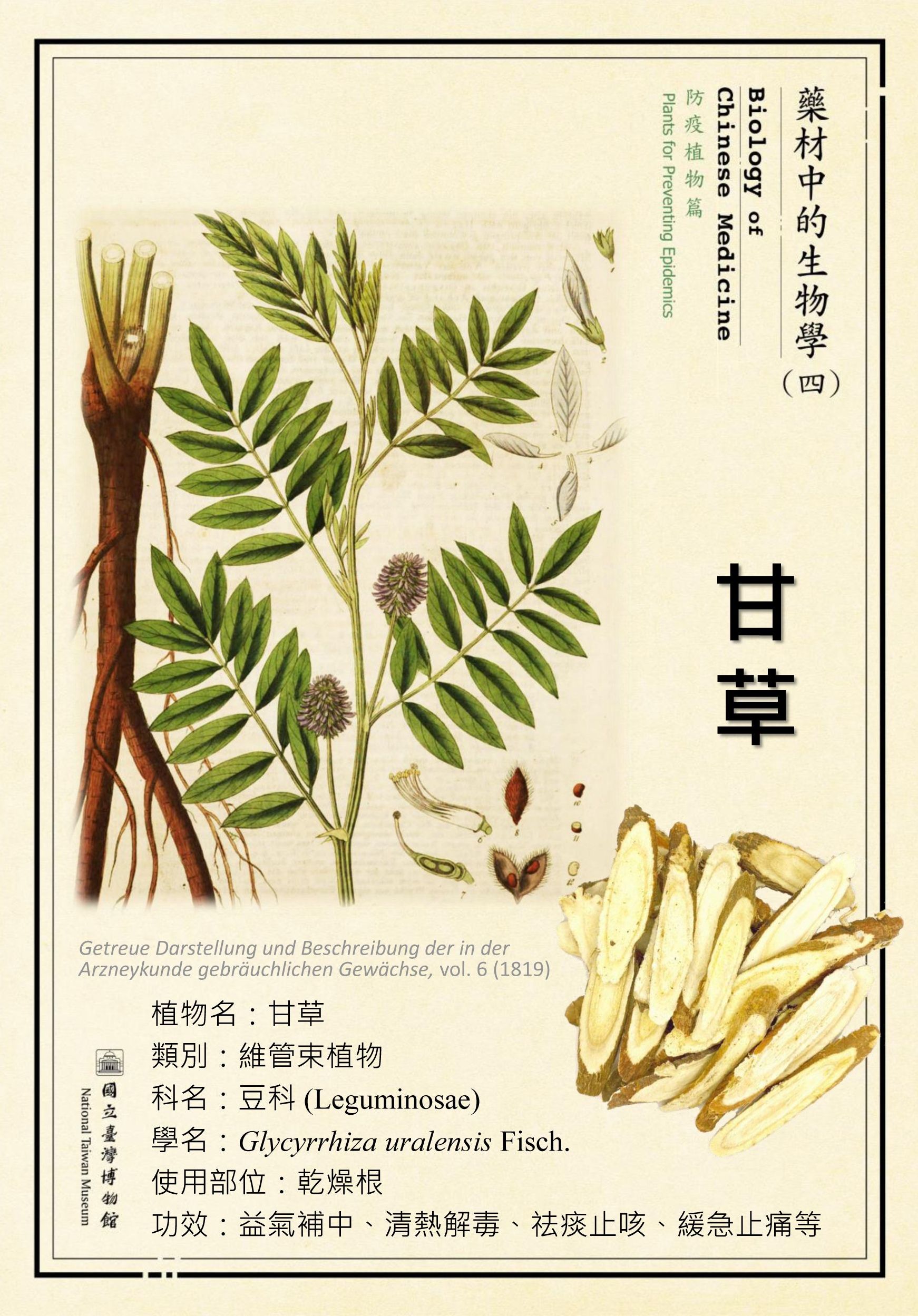 〔微型展〕藥材中的生物學(四)—防疫植物篇活動內容資訊